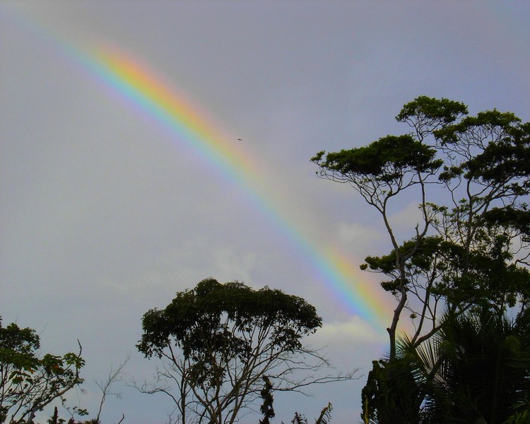 Fonds d'cran Nature Arcs-en-ciel arc en ciel equatorial