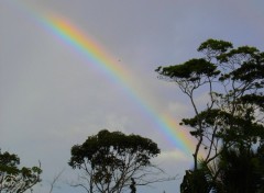 Fonds d'cran Nature arc en ciel equatorial