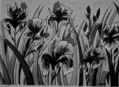 Fonds d'cran Art - Peinture Iris au jardin