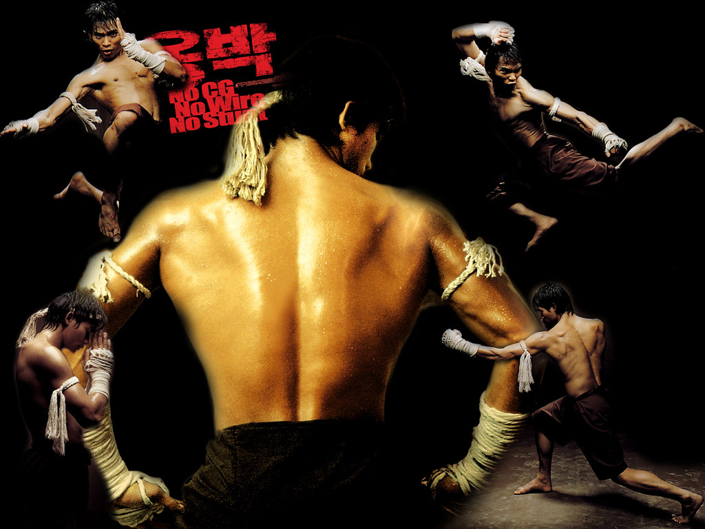 Fonds d'cran Cinma Ong-Bak 1 - the Thai Warrior ONG BAK