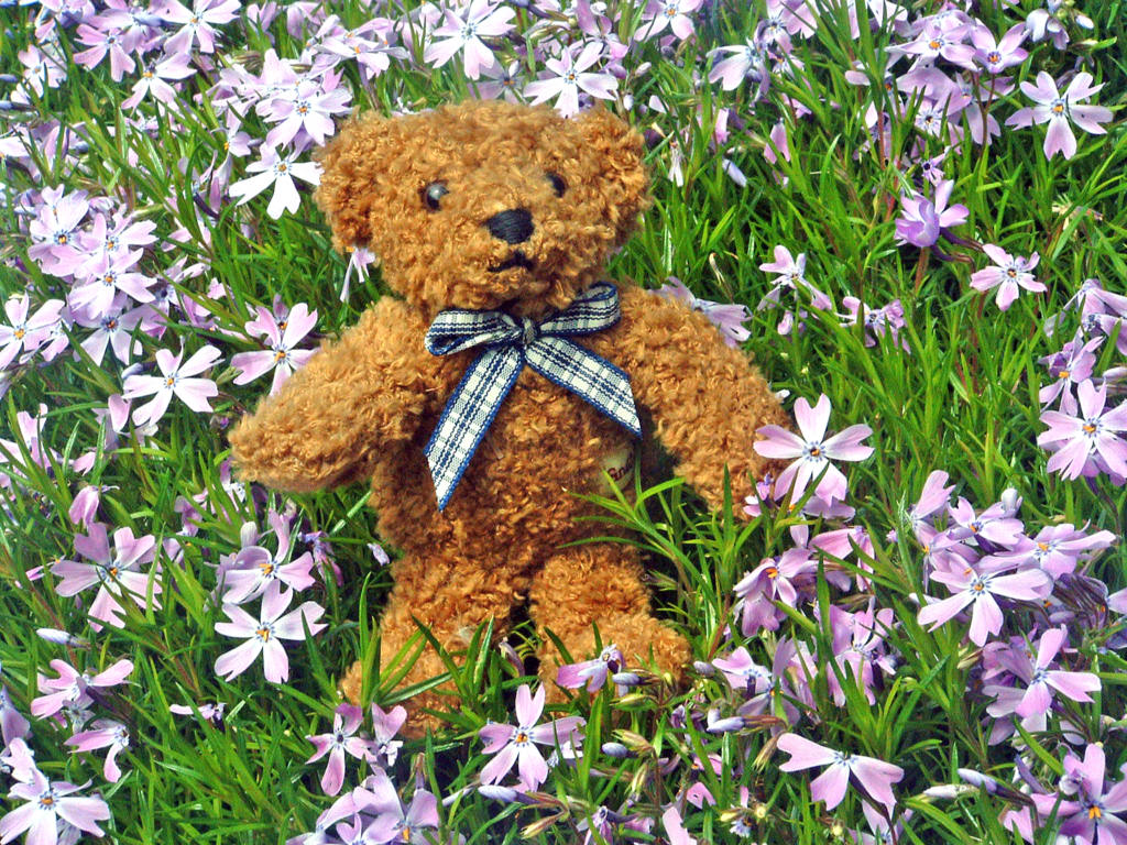 Fonds d'cran Objets Peluches Petit Ours dans les fleurs...