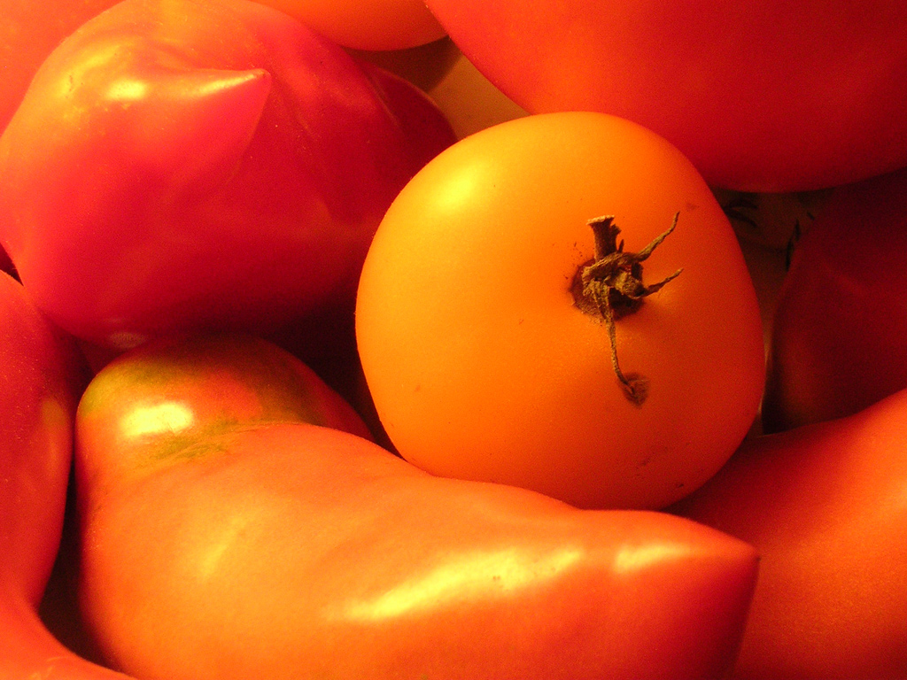 Fonds d'cran Nature Fruits Tomates