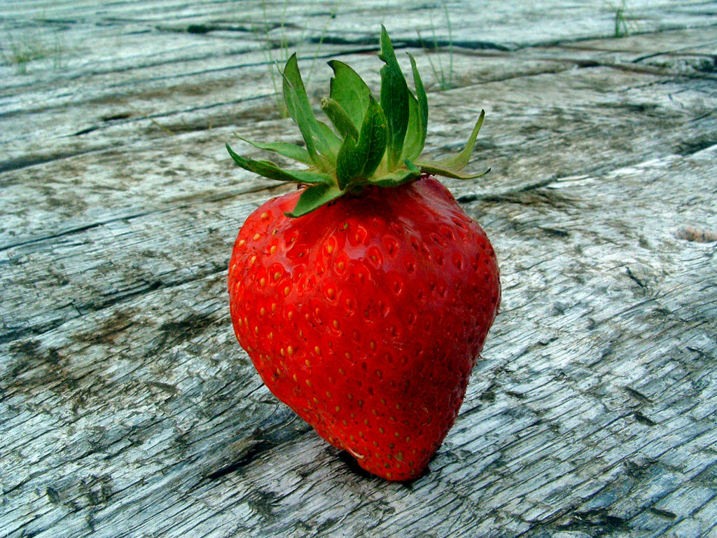 Fonds d'cran Nature Fruits Ramne ta fraise ! C'est la saison !