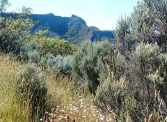 Fonds d'cran Voyages : Afrique Ile de la Reunion