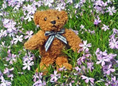 Fonds d'cran Objets Petit Ours dans les fleurs...