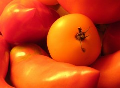 Wallpapers Nature Tomates