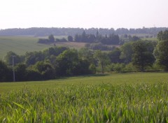 Fonds d'cran Voyages : Europe Verte Normandie(2)