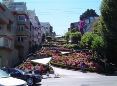 Fonds d'cran Voyages : Amrique du nord Lombard Street San Francisco