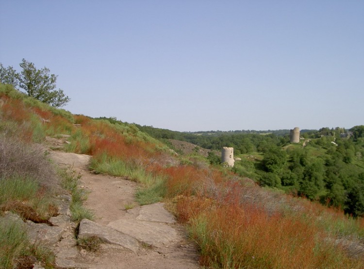 Fonds d'cran Voyages : Europe France > Limousin bruyeres