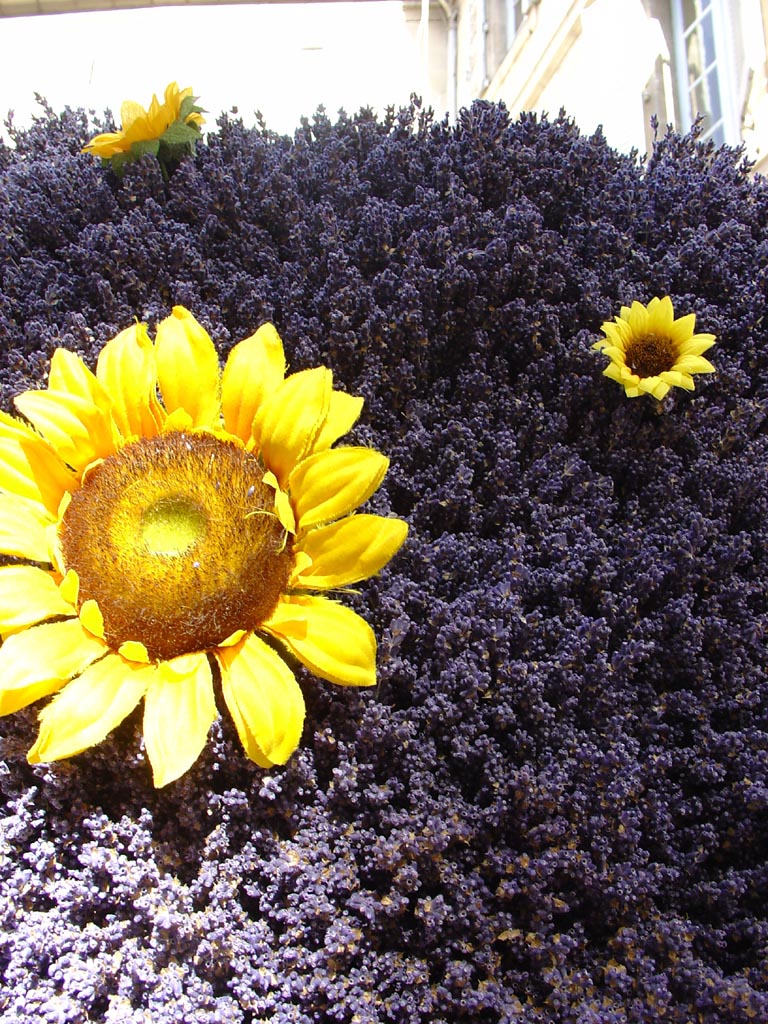 Fonds d'cran Nature Fleurs Bouquet de lavande et tournesol