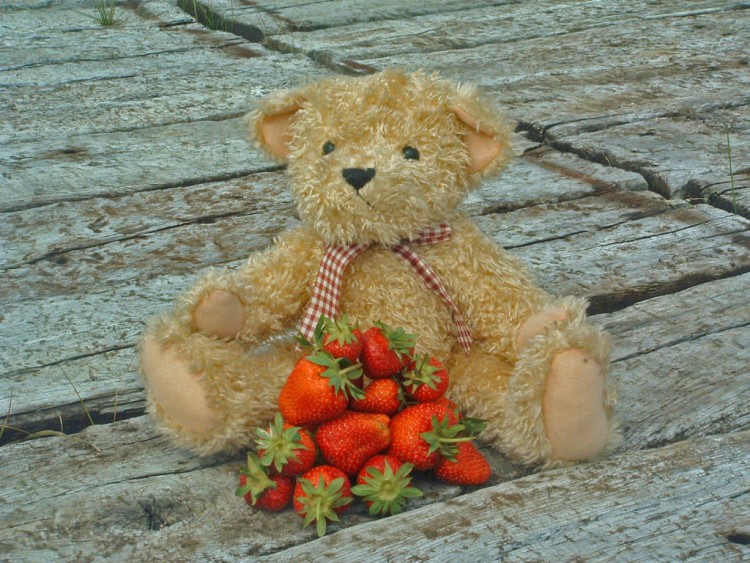 Fonds d'cran Objets Peluches Quelques fraises de Petits Ours pour tous ses ami(e)s !