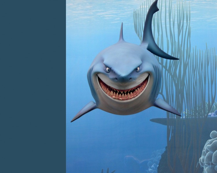 Wallpapers Cartoons Finding Nemo Bruce le requin