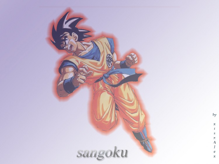 Fonds d'cran Manga Dragon Ball Z Sangoku