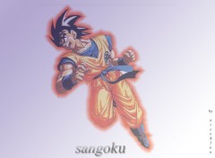 Fonds d'cran Manga Sangoku