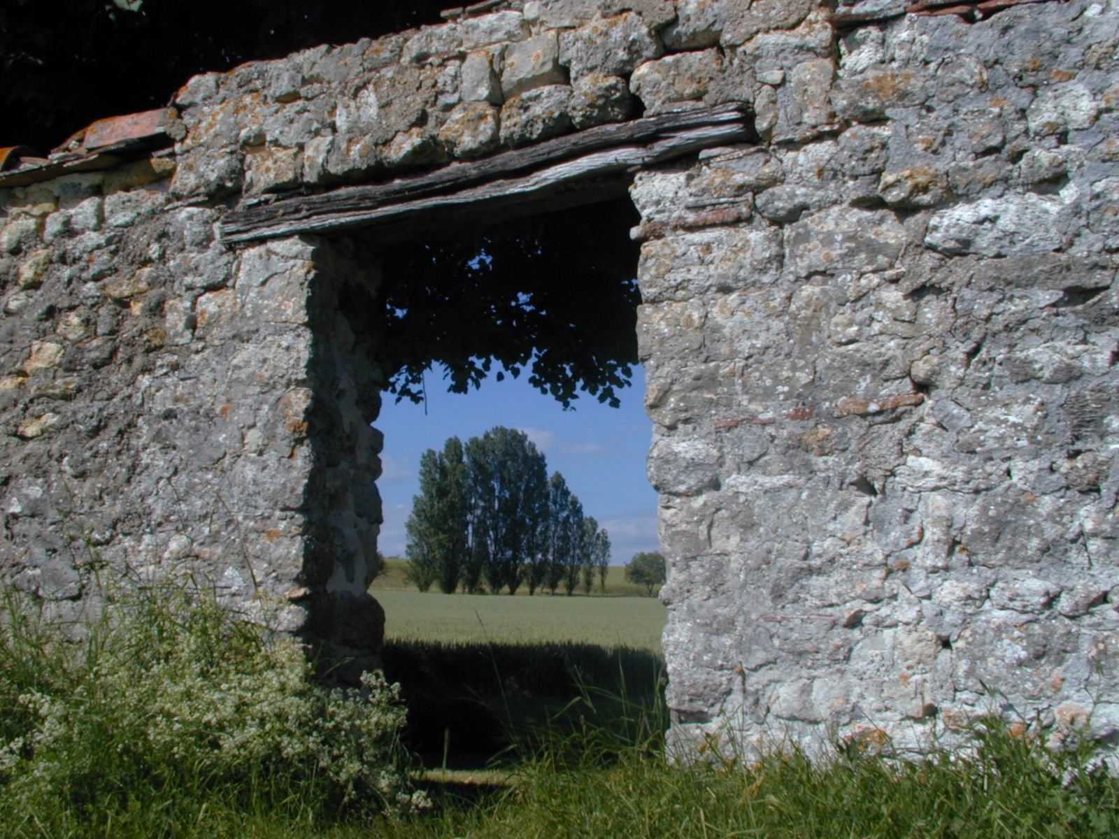 Fonds d'cran Nature Arbres - Forts Porte d'entre du jardin!