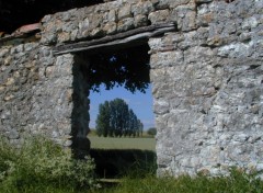 Fonds d'cran Nature Porte d'entre du jardin!