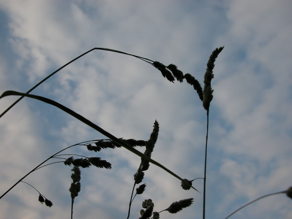 Fonds d'cran Nature Ciel - Nuages 