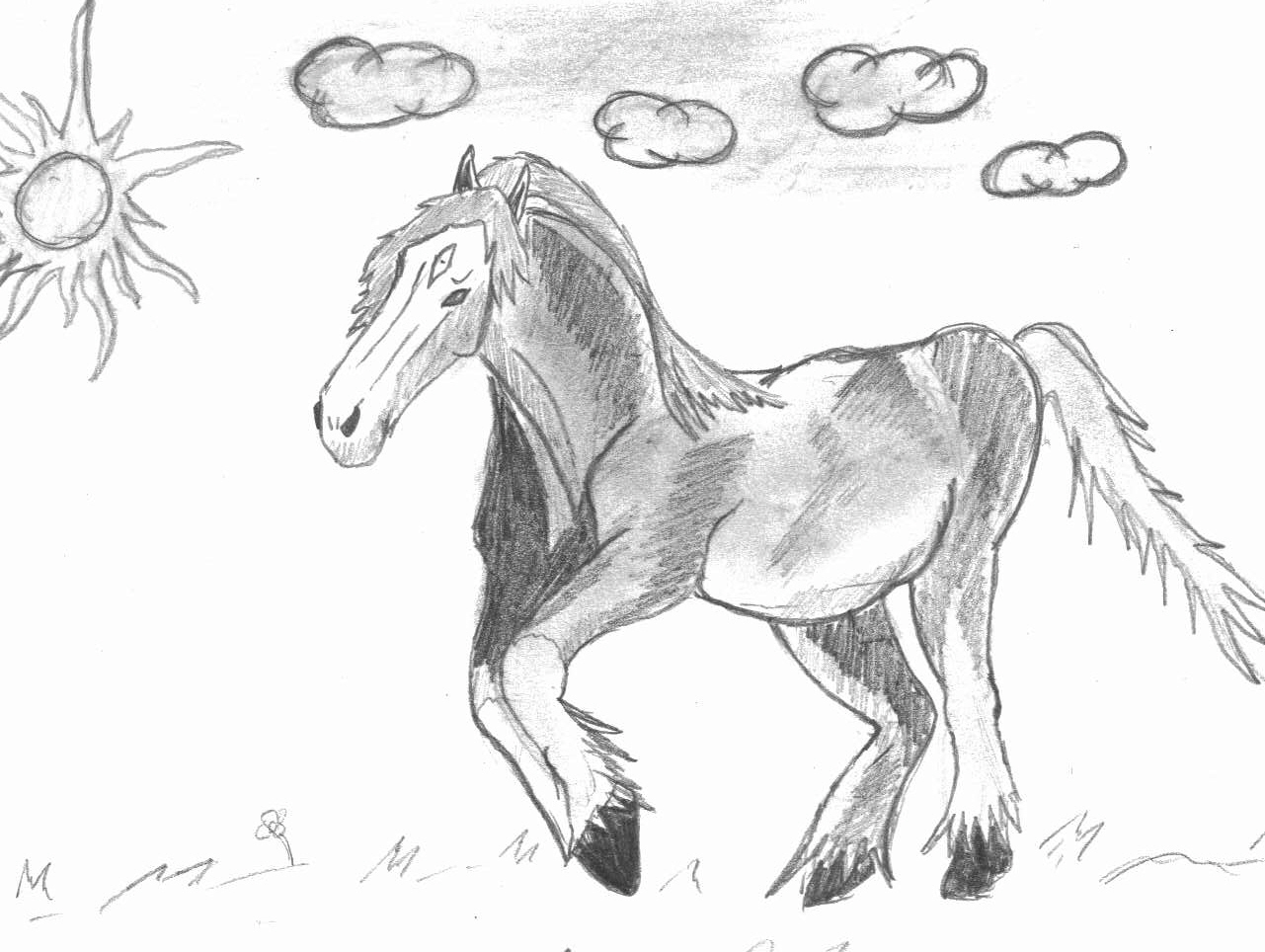 Wallpapers Art - Pencil Animals - Horses 