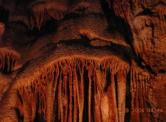 Fonds d'cran Nature merveilles oranges