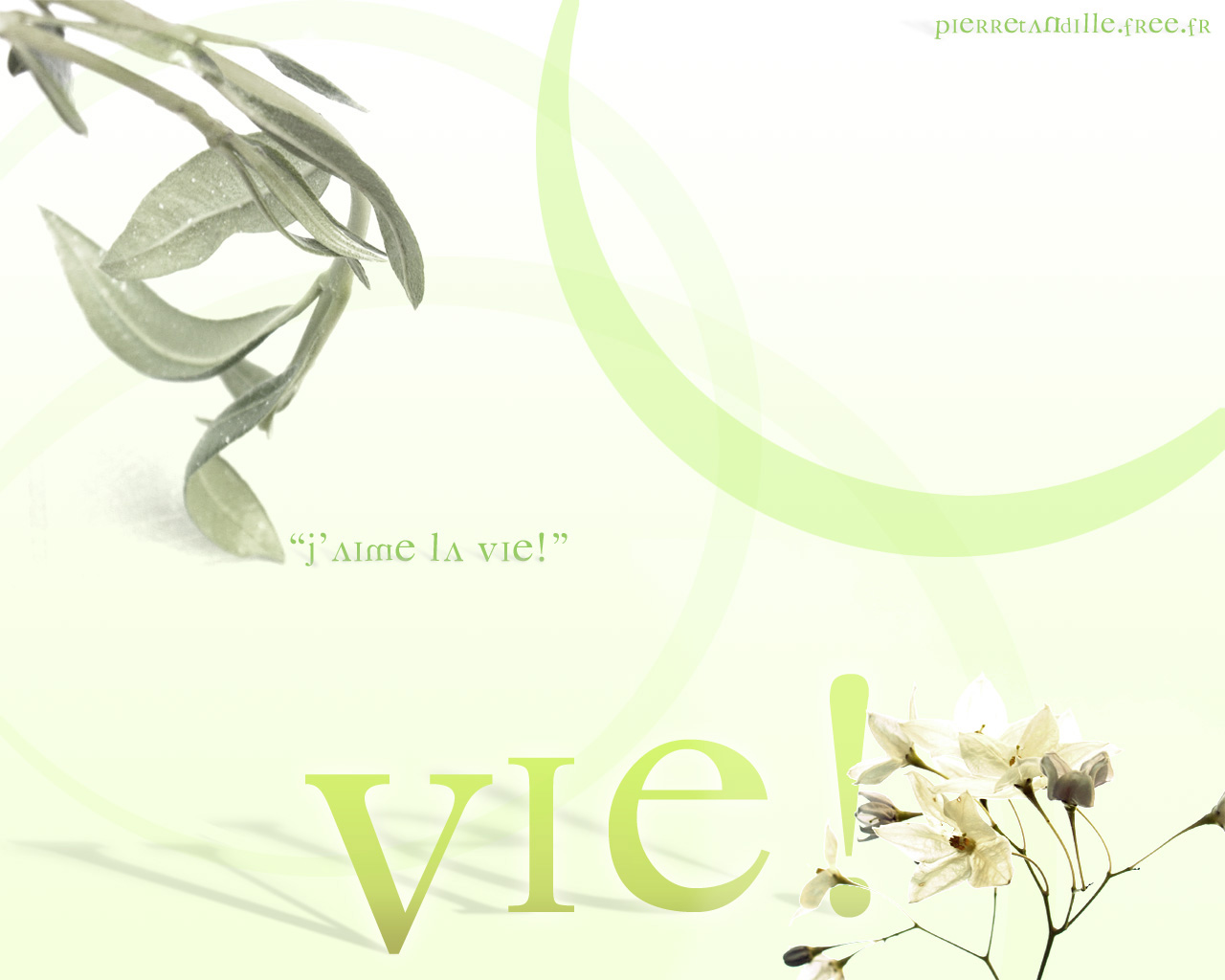 Wallpapers Digital Art Style Zen Vie!