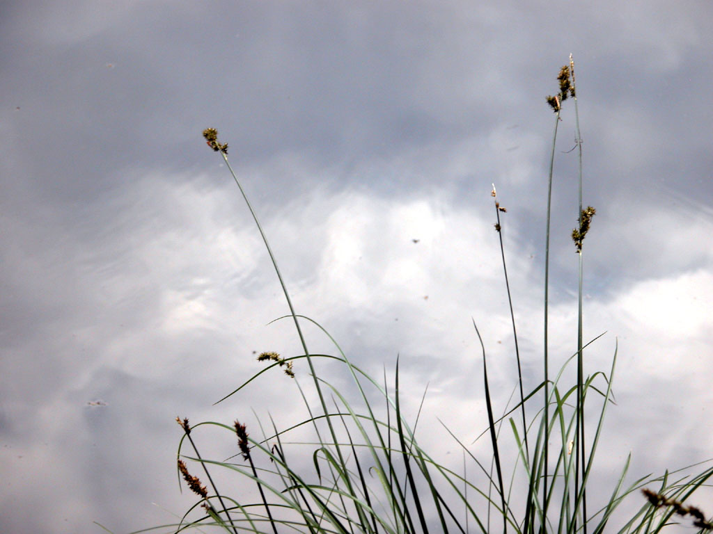 Fonds d'cran Nature Eau - Reflets Illusion