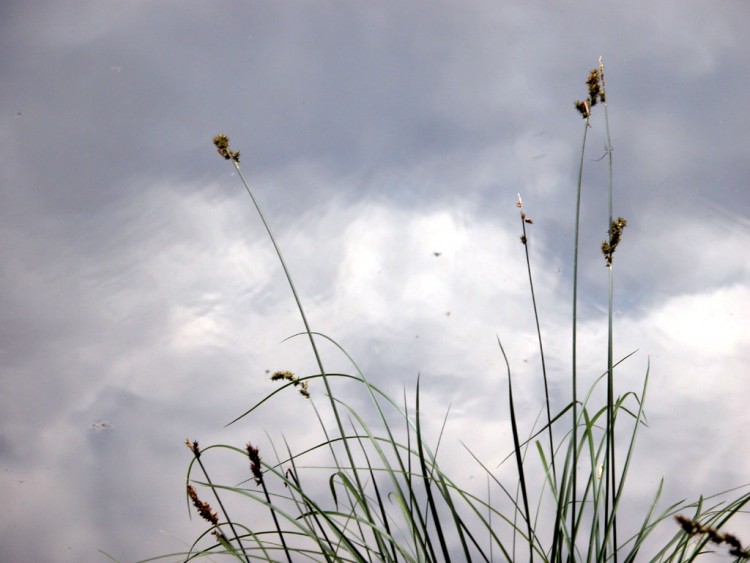 Wallpapers Nature Water - Reflection Illusion