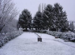 Fonds d'cran Nature mon jardin en hiver