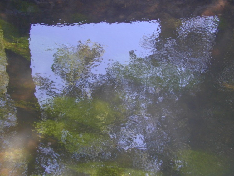 Wallpapers Nature Water - Reflection Reflets d'arbres