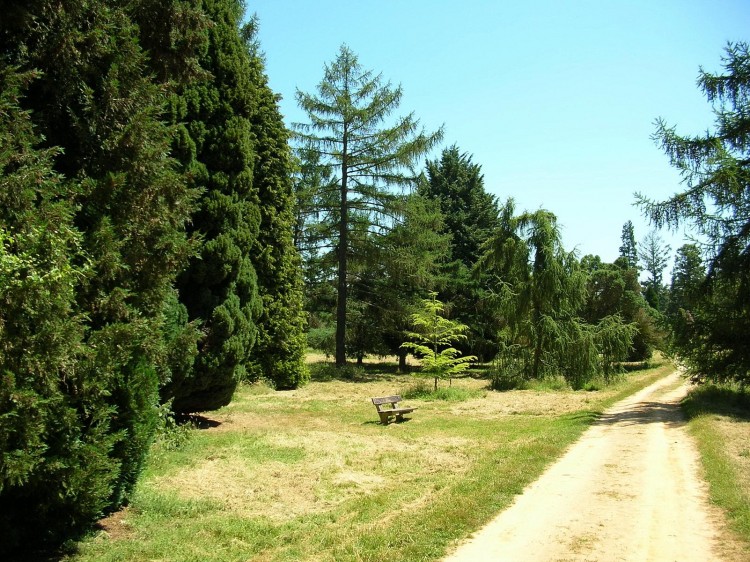 Fonds d'cran Nature Parcs - Jardins Arboretum de Chvreloup