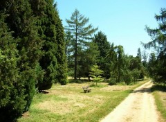 Fonds d'cran Nature Arboretum de Chvreloup