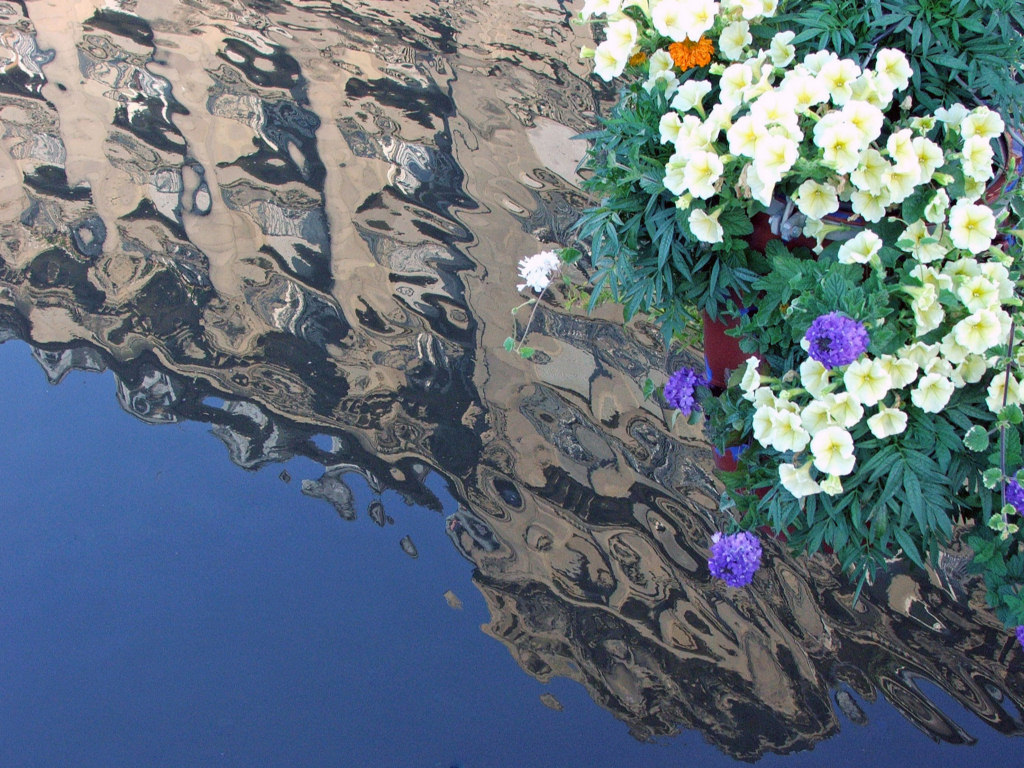 Wallpapers Nature Water - Reflection Fleurs et reflet....