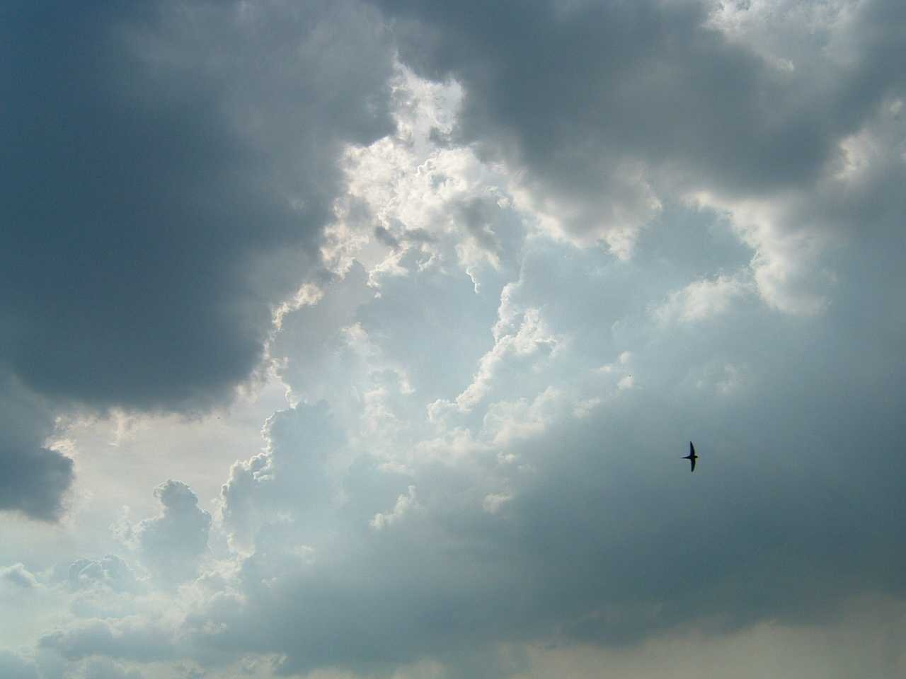 Wallpapers Nature Skies - Clouds un peu avant l'orage