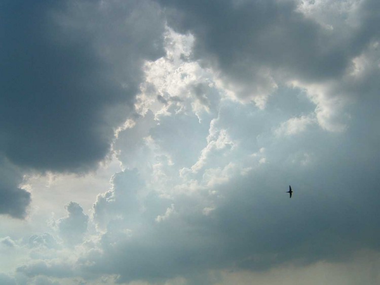 Fonds d'cran Nature Ciel - Nuages un peu avant l'orage