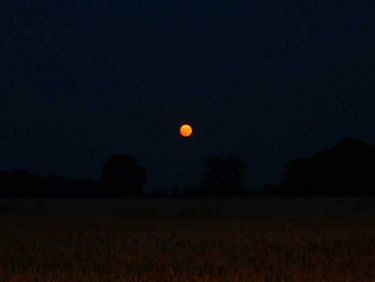 Wallpapers Space Moon lune orange