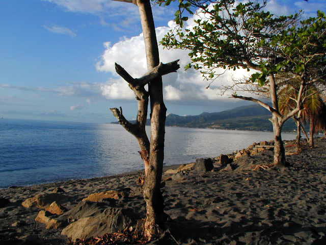 Fonds d'cran Voyages : Amrique du nord La Martinique Martinique