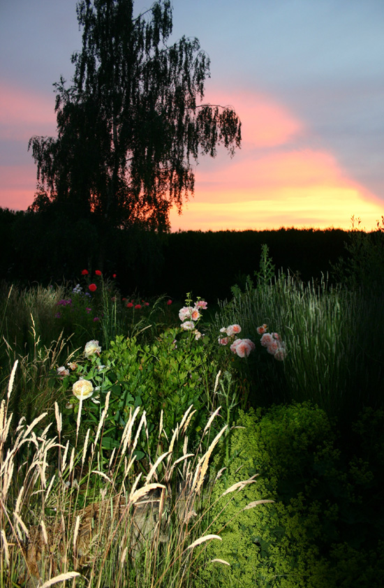 Fonds d'cran Nature Parcs - Jardins Magie de la nuit