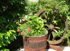 Fonds d'cran Nature pot de fleurs