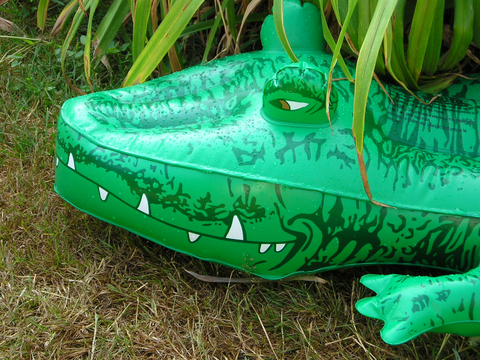 Fonds d'cran Objets Divers crocodile 