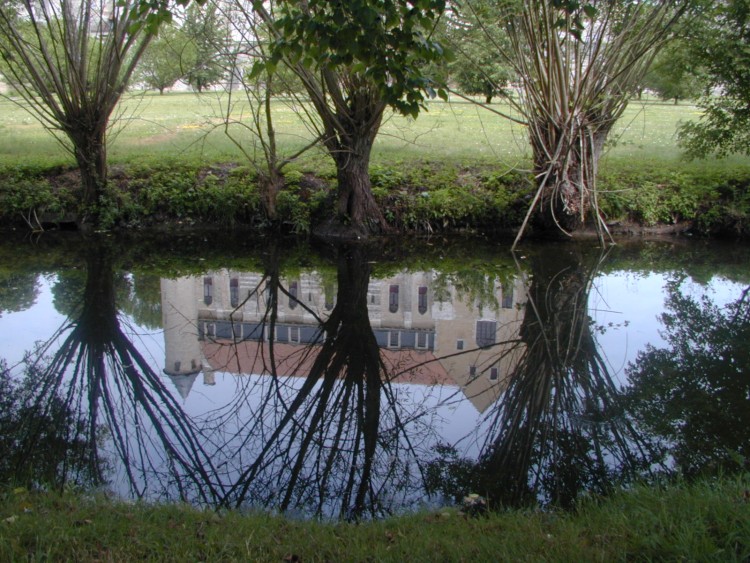 Wallpapers Nature Water - Reflection Reflets