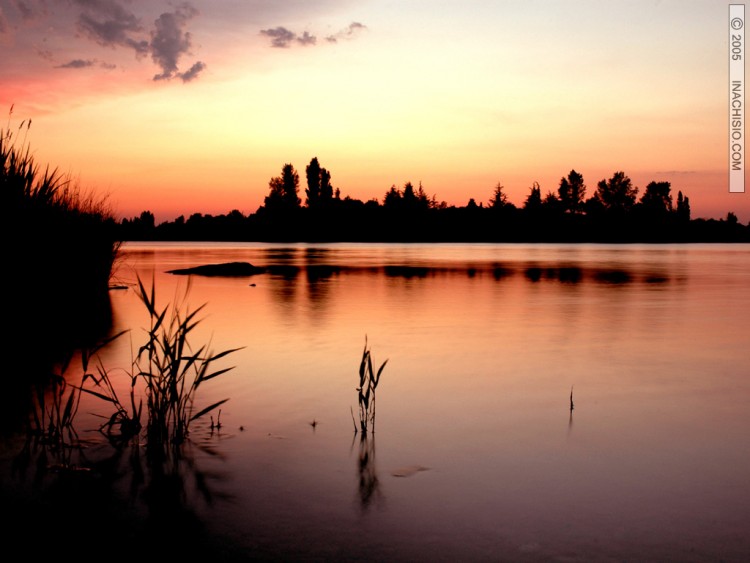 Fonds d'cran Nature Couchers et levers de Soleil Herbes aquatiques