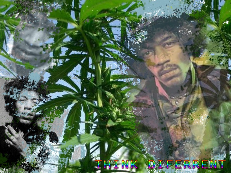 Fonds d'cran Musique Jimi Hendrix Wallpaper N104650