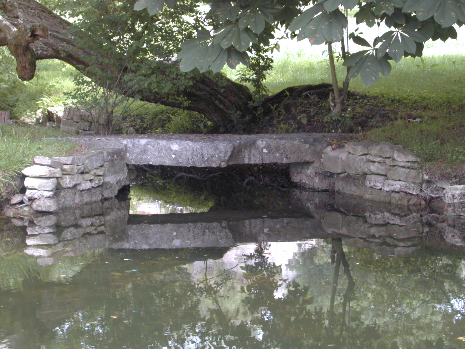 Wallpapers Nature Water - Reflection 