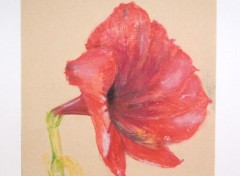 Fonds d'cran Art - Peinture fleur 2