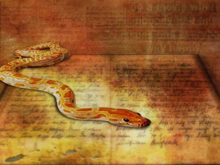 Wallpapers Digital Art Abstract Snake