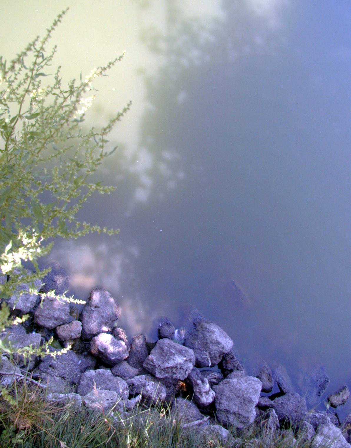 Wallpapers Nature Water - Reflection Reflets