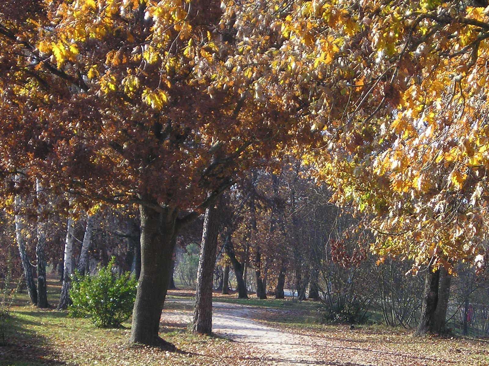 Fonds d'cran Nature Saisons - Automne 