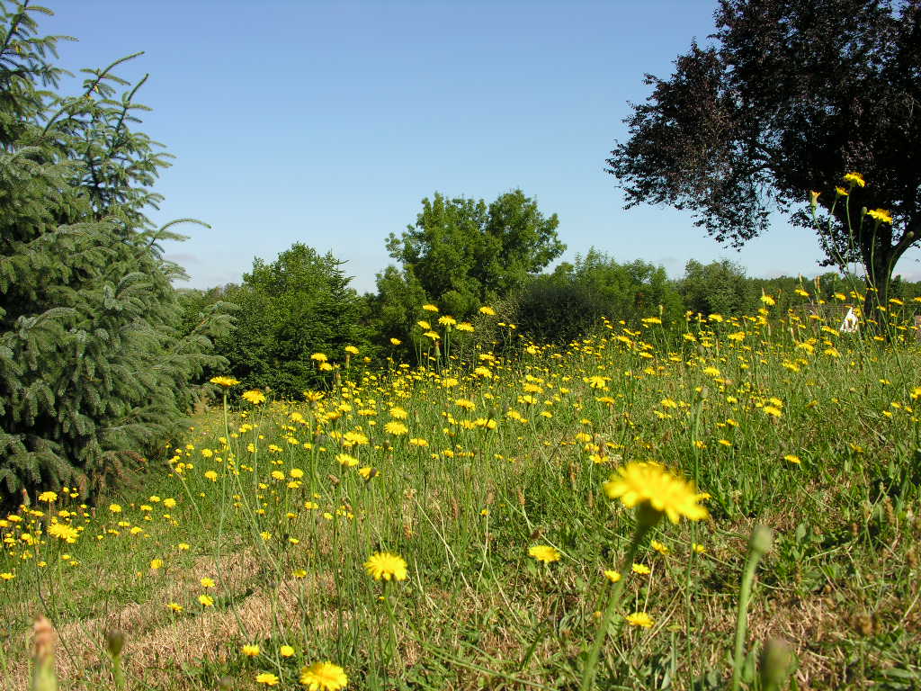 Fonds d'cran Nature Paysages 