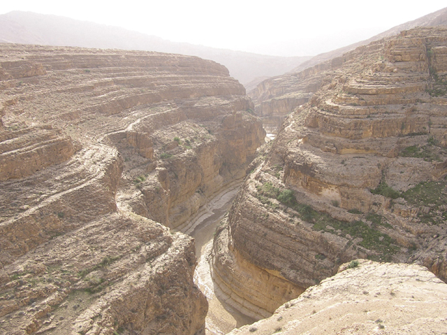 Fonds d'cran Voyages : Afrique Tunisie Oued de Mids