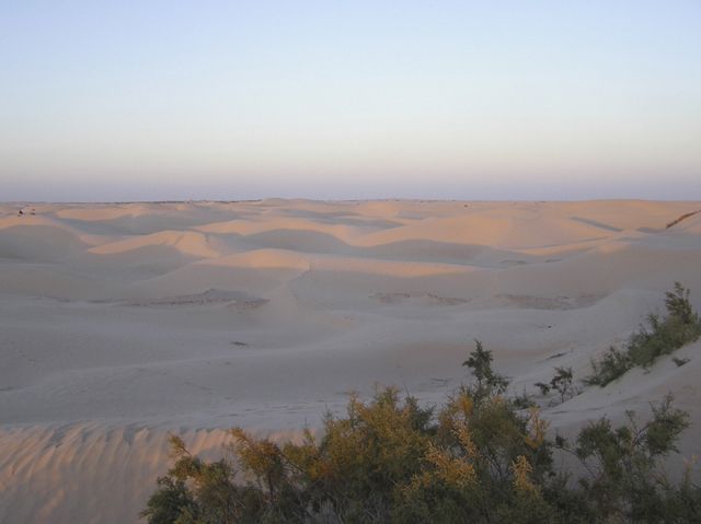 Fonds d'cran Nature Dserts Soir