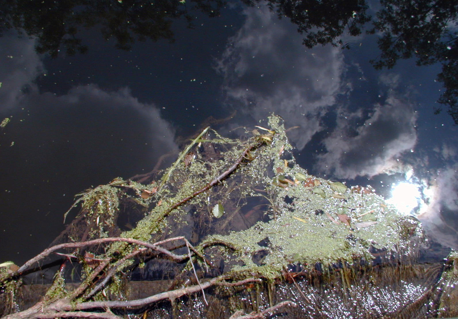 Wallpapers Nature Water - Reflection Reflets